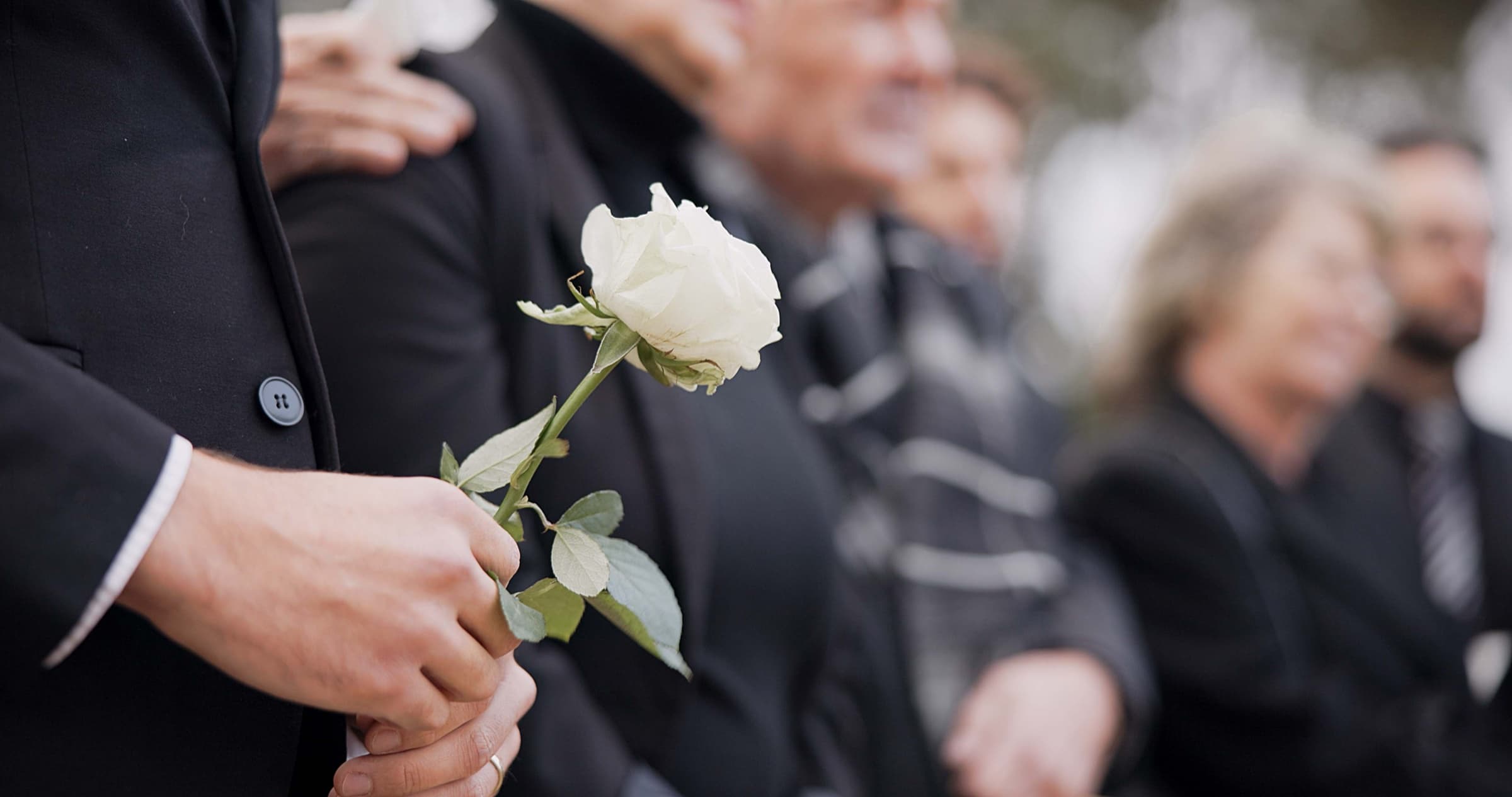 A mourner in a dark suit holding a single white rose at a funeral
